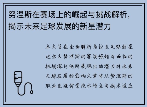 努涅斯在赛场上的崛起与挑战解析，揭示未来足球发展的新星潜力