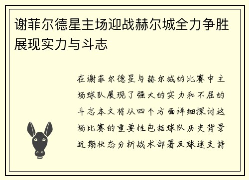 谢菲尔德星主场迎战赫尔城全力争胜展现实力与斗志