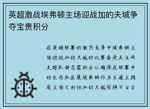 英超激战埃弗顿主场迎战加的夫城争夺宝贵积分
