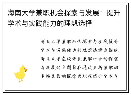 海南大学兼职机会探索与发展：提升学术与实践能力的理想选择