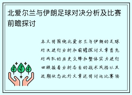 北爱尔兰与伊朗足球对决分析及比赛前瞻探讨